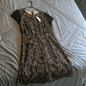 Loft Dress